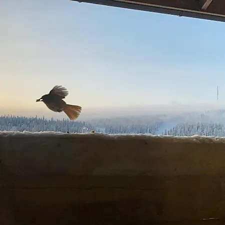 Ylaemaja - With A Stunning View 別荘 ルカ