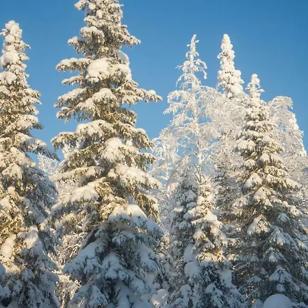 Ylaemaja - With A Stunning View Holiday home Ruka