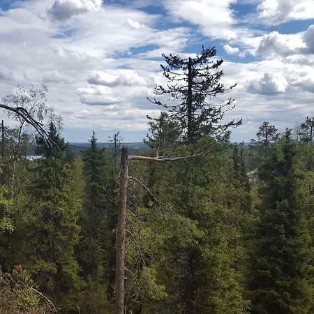 Ylaemaja - With A Stunning View