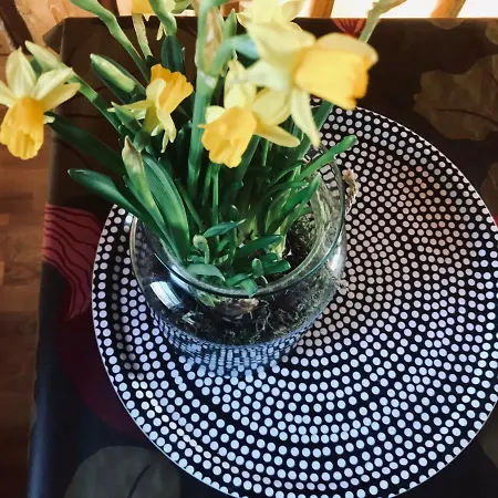 Ylaemaja - With A Stunning View *