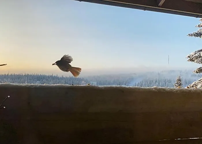 Ylaemaja - With A Stunning View Σπίτι διακοπών Ruka