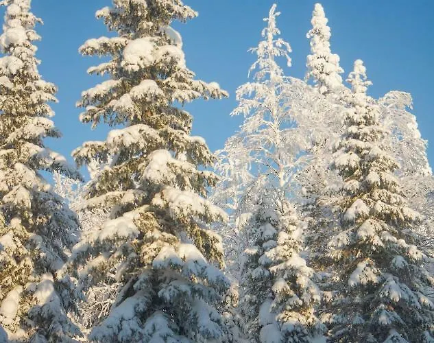 Ylaemaja - With A Stunning View Σπίτι διακοπών Ruka