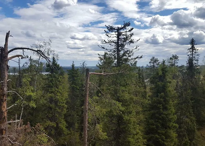 Ylaemaja - With A Stunning View